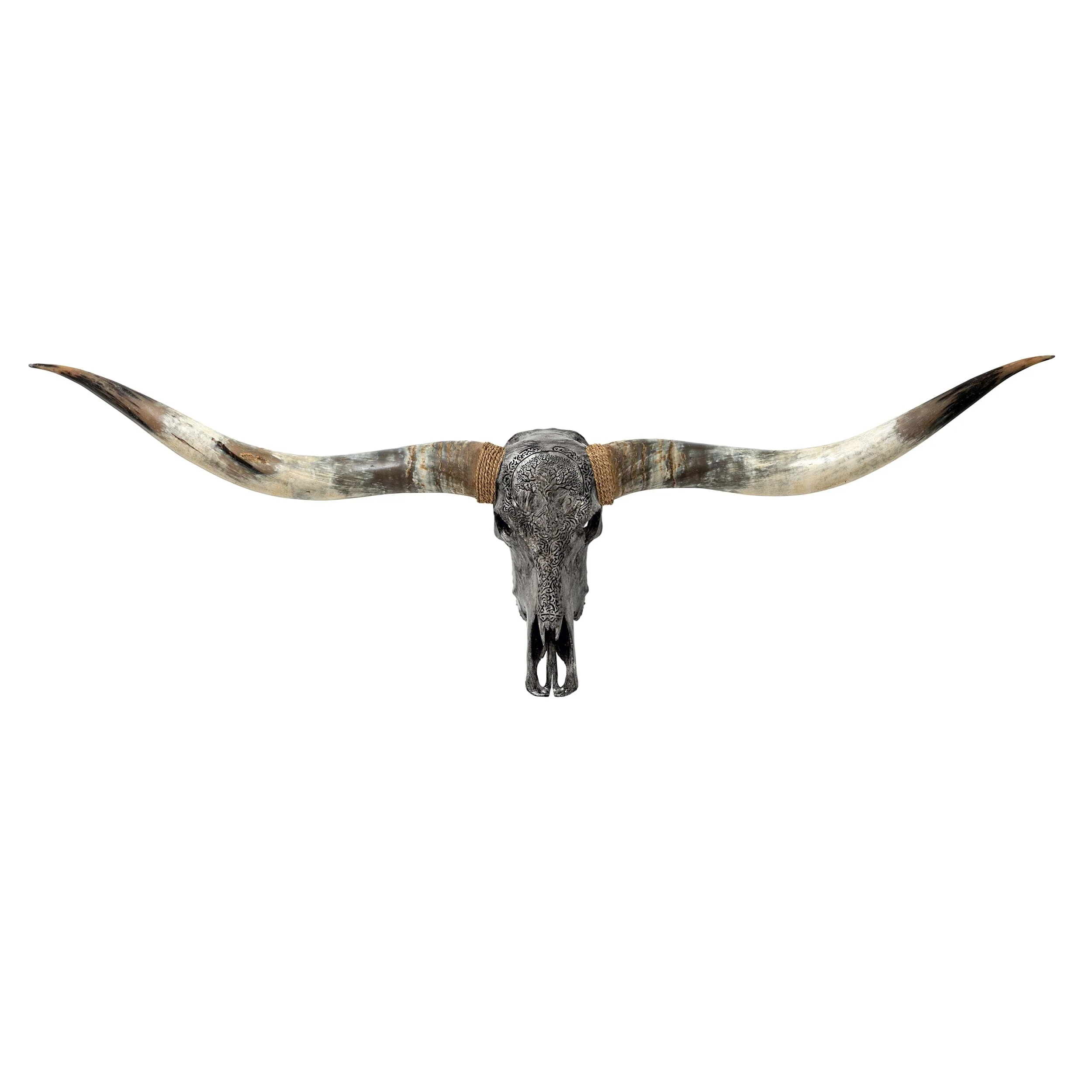 Bestseller XL Longhorns